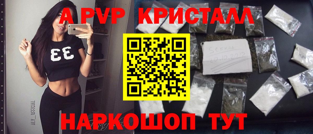 Alfa_PVP СК КРИС Хасавюрт