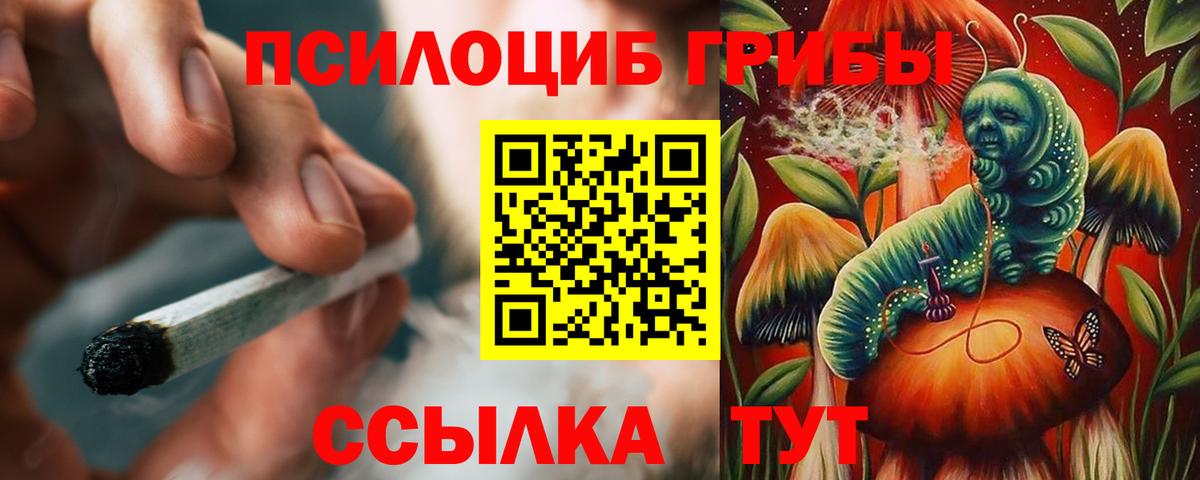 Галлюциногенные грибы MAGIC MUSHROOMS  Псилоцибиновые грибы Psilocybe  Вход с VPN  где можно купить   Хасавюрт 