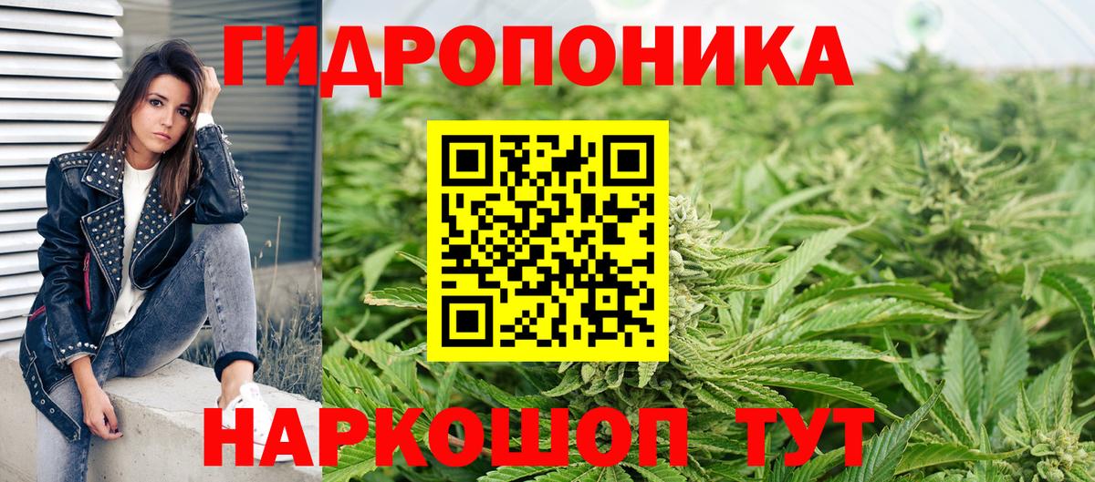 Шишки марихуана White Widow Хасавюрт
